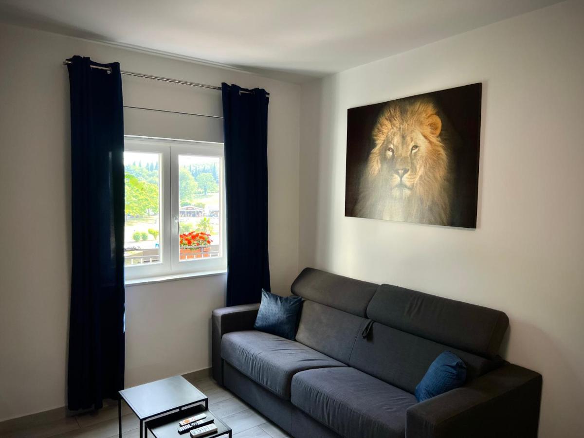 Apartman Rocan 브르사르 외부 사진